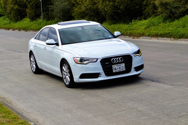 Driving School Amsterdam: Your Gateway to the Road